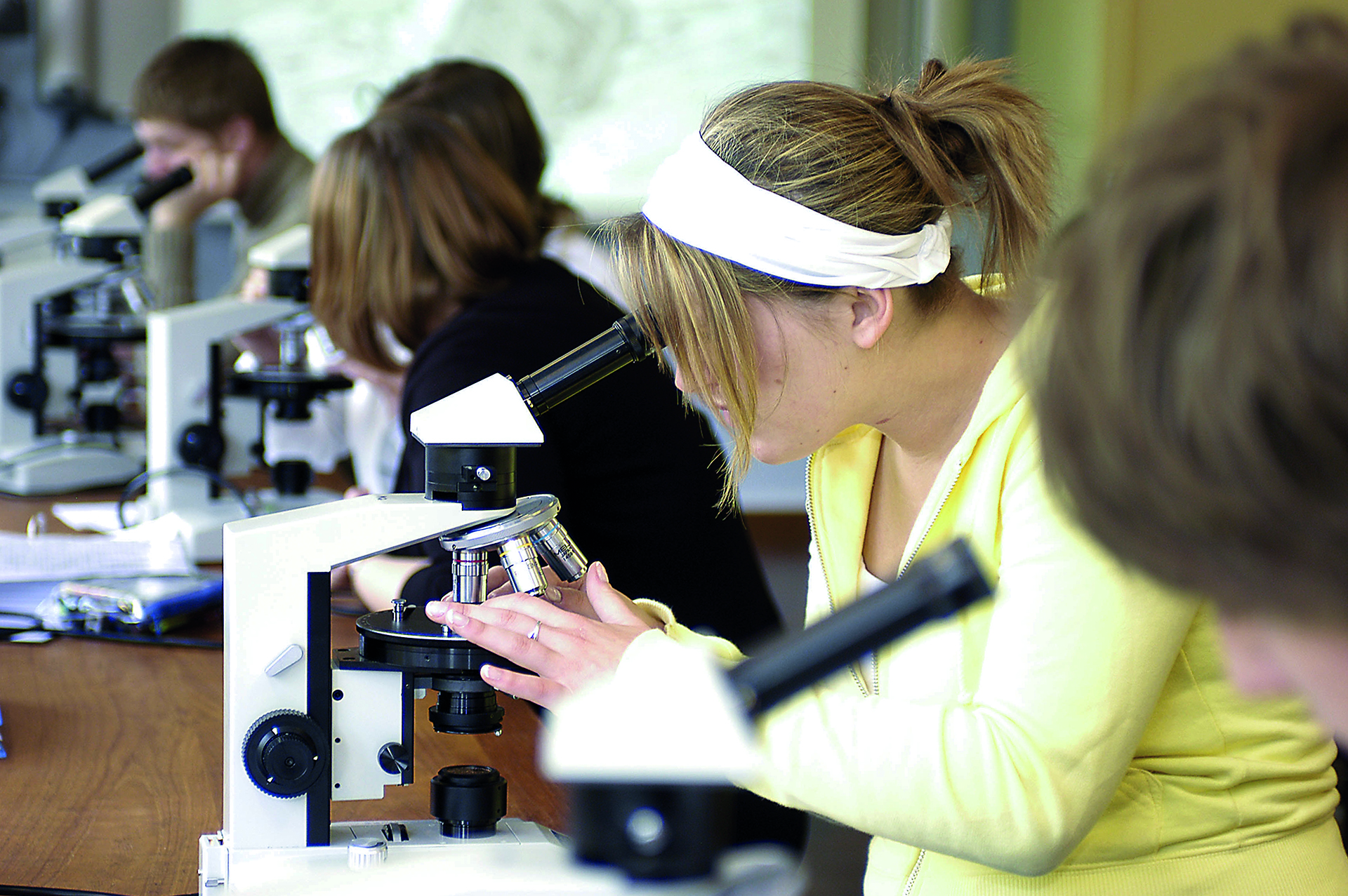 A row of students using microscopes