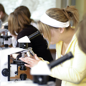 A row of INTO Students using microscopes A row of INTO Students using microscopes