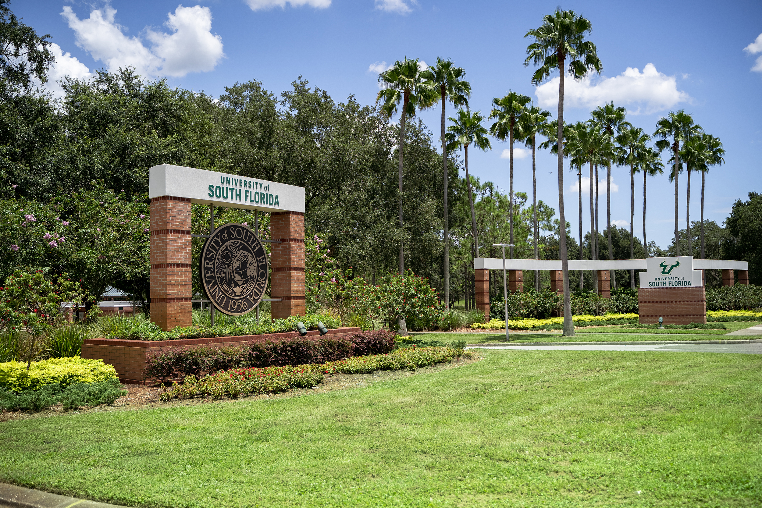 university of south florida faculty affairs