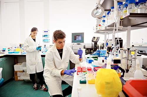 Students studying Applied Biological Sciences in a laboratory