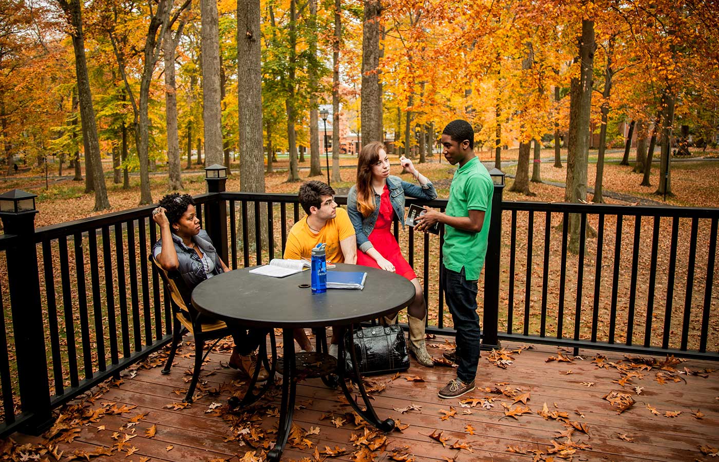 Study among the trees in The Forest at Drew University