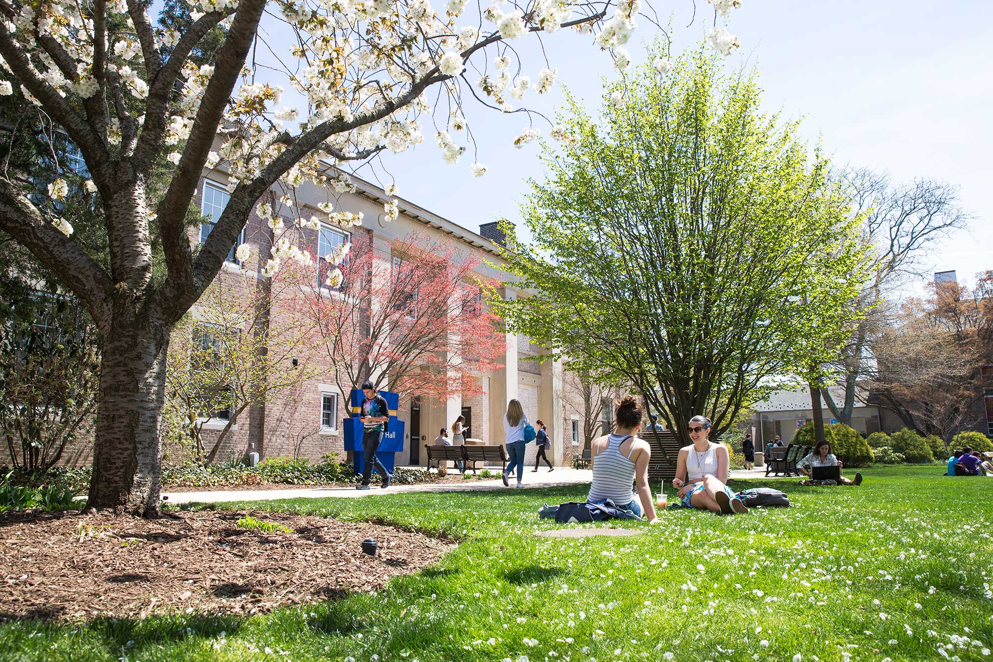 INTO Hofstra campus and grass area
