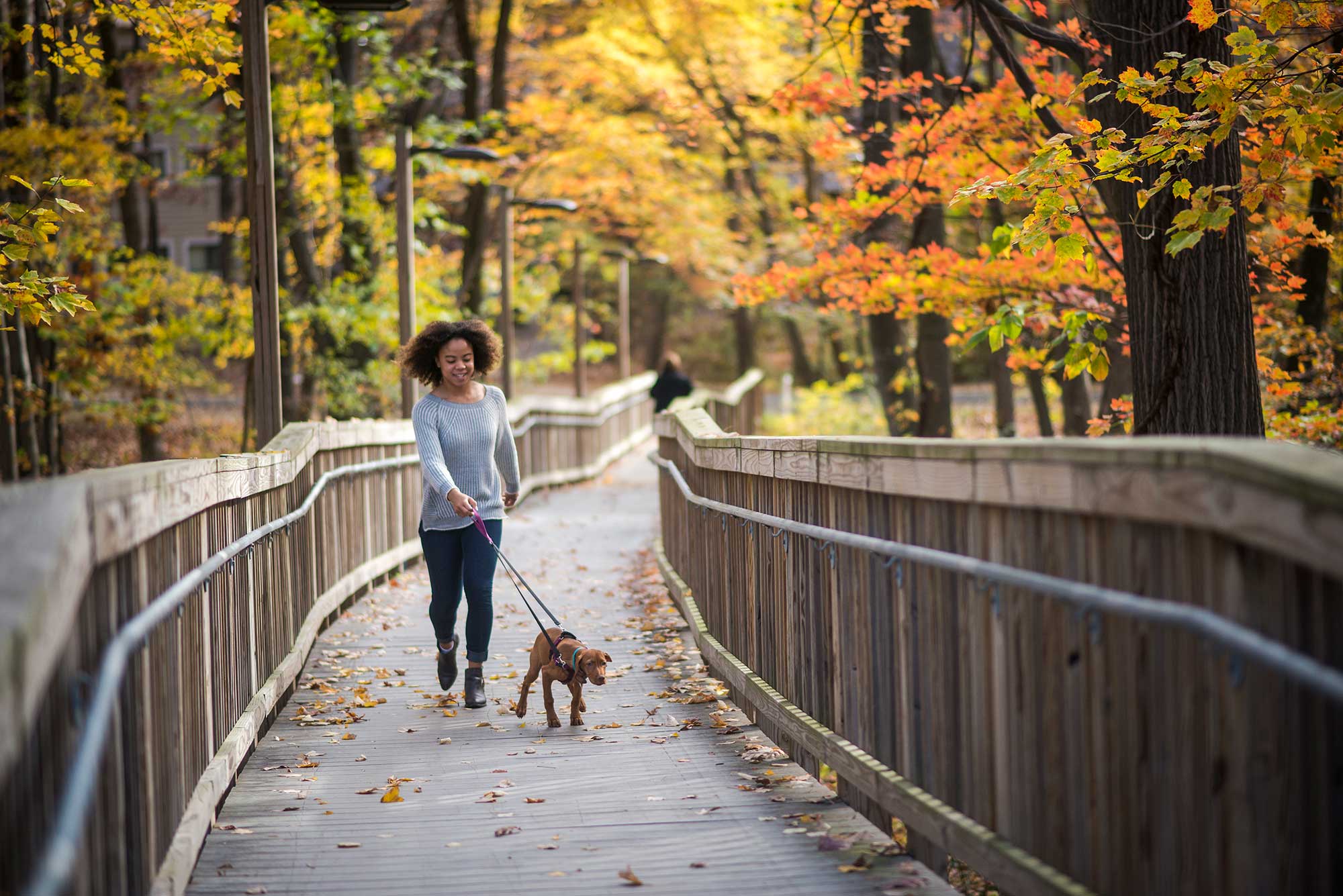 INTO Mason Female walking puppy